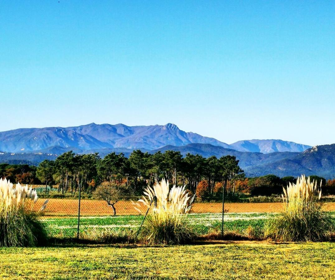 Can Micos - Casa Rural & Events Riudarenes Dış mekan fotoğraf